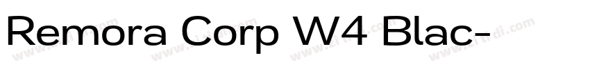 Remora Corp W4 Blac字体转换